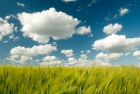 Il Cloud